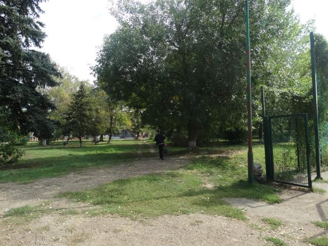 4 DSC05435