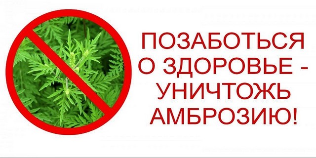 Уважаемые жители ст.Раздольной и х.Верхнего! Внимание!