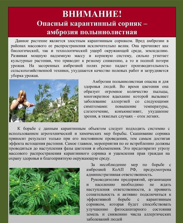 foto 2025 09 09 14 01 001